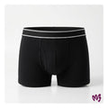 Boxer
