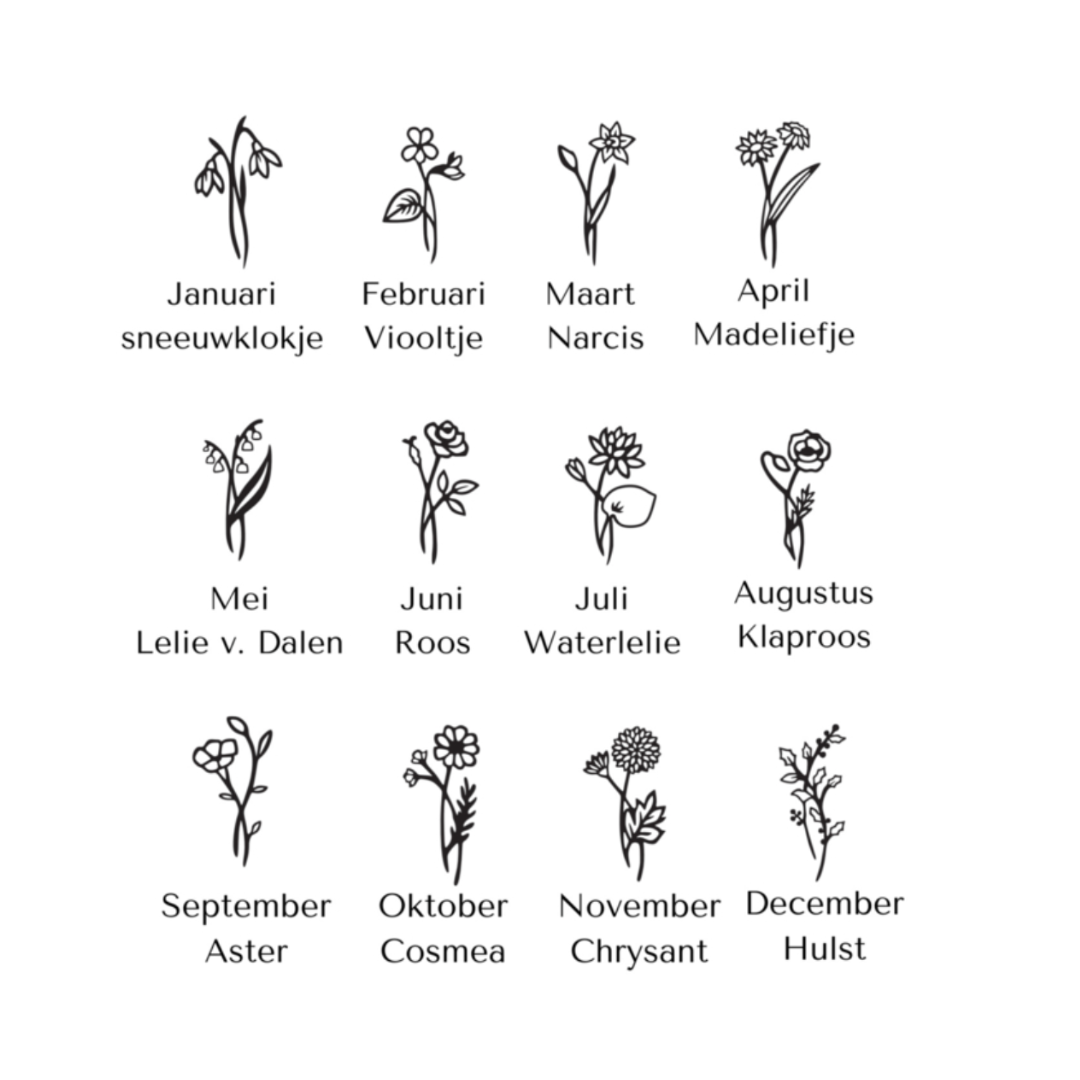 Sjabloon_producten-3_b2d559f7-f75b-48da-afbb-83075d0ecc86.png